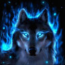 Wolfzz