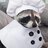 Raccoon Chef